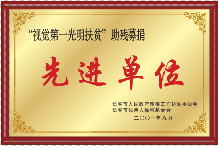2001视觉第一灼烁扶贫助残募捐先进单位.png