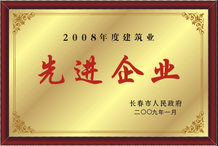 2009年先进企业.png